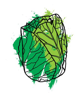 Beyaz arkaplanda renk boyası olan soyut bir lahana çizgisi.