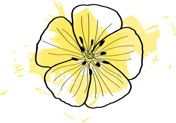 Квіти Чорної Лінії Рослини Tribulus Terrestris Розлогістю Кольору Білому Тлі — стокове фото