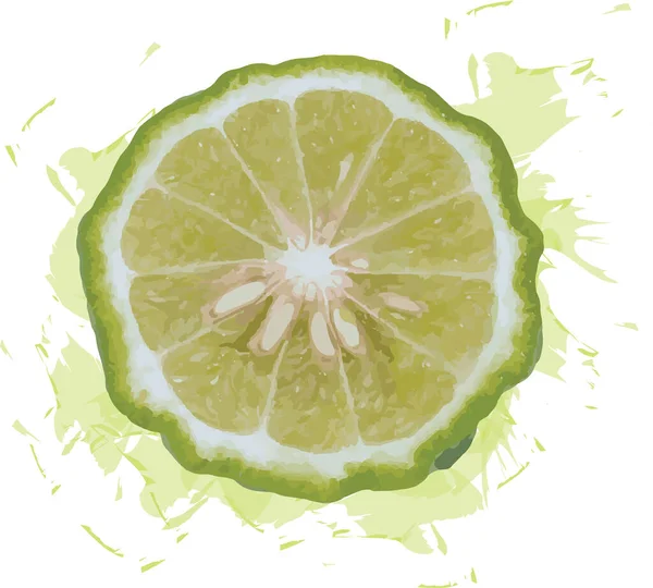 Abstrait Tranches Lime Kaffir Avec Une Répartition Des Couleurs Sur — Photo