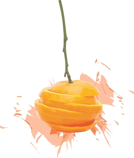 白地に橙色の果実の抽象色広がり — ストック写真