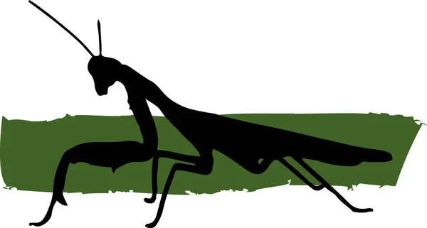 Silhouette of Female Asia Mantis with color paint on white background. (Scientific name Hierodula patellifera)