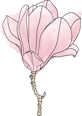 Verbanica Daire Magnolia çiçeğinin soyut çizgisi çiçek açıyor.