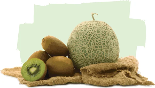 Samenvatting Van Netted Meloen Kiwi Met Kleur Verf Witte Achtergrond — Stockfoto