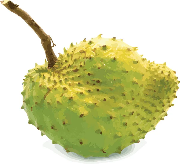 Fruto Abstracto Soursop Tree Prickly Custard Apple — Foto de Stock