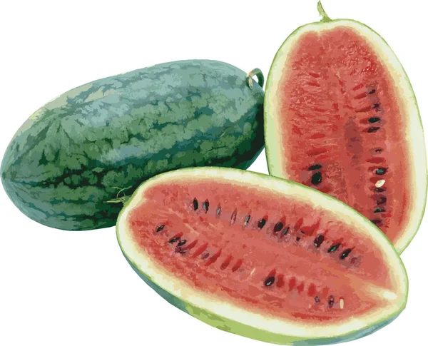 Abstrakte Wassermelone Scheiben Geschnitten Auf Weißem Hintergrund — Stockfoto