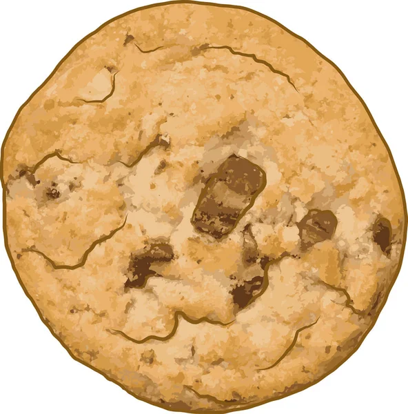 Sammanfattning Choklad Chip Cookie Hemmagjord Vit Bakgrund — Stockfoto
