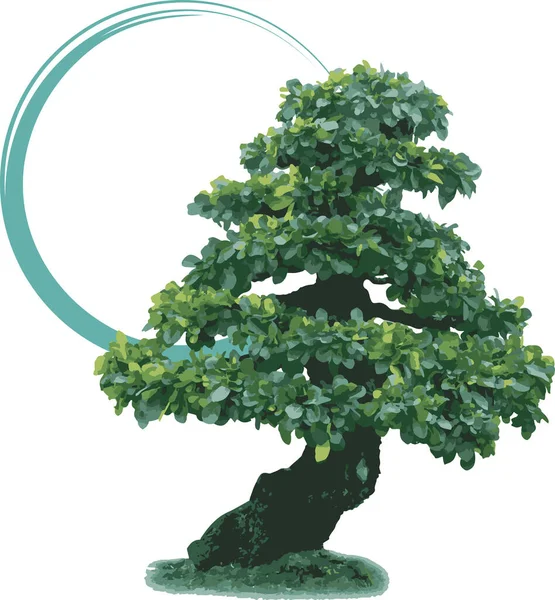 Abstrato Bonsai Árvore Contra Com Pintura Circular Sobre Fundo Branco — Fotografia de Stock