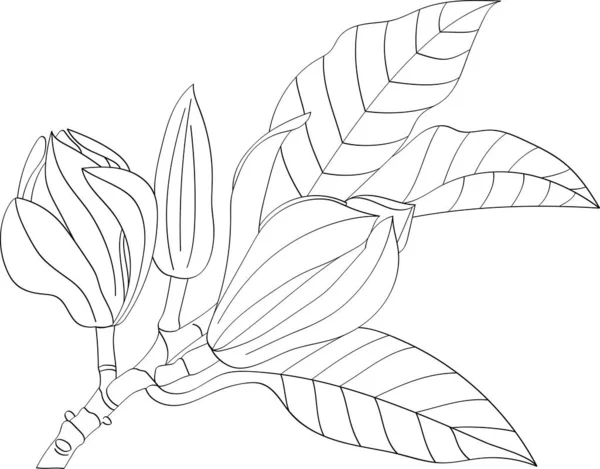 Abstract Line Champaka Blooming Flower Leaf — Stock vektor