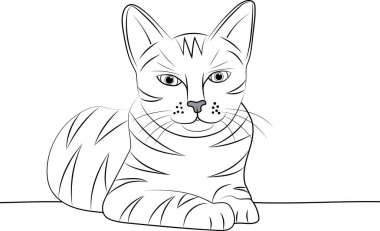 Abstract line of cat are looking with empty background.