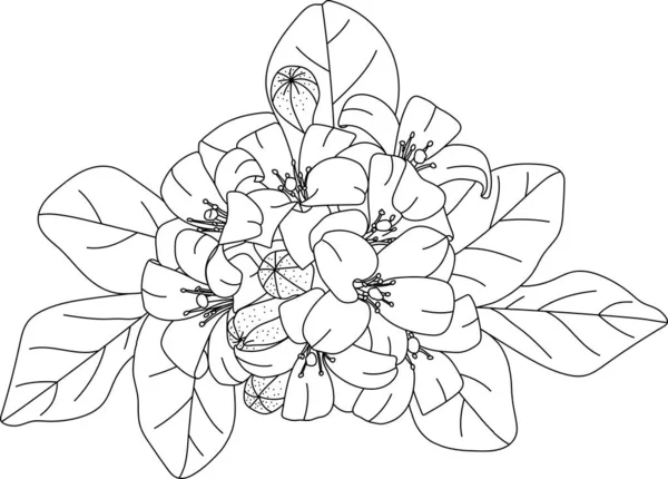 トランペットの花の概要 — ストックベクタ
