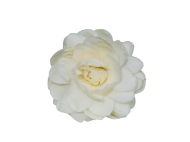 Beyaz arap yasemin çiçeğine yakın beyaz arka planda kırpma yolu olan yapraklar. (Bilimsel adı Jasminum Sambac (L.) Aiton)