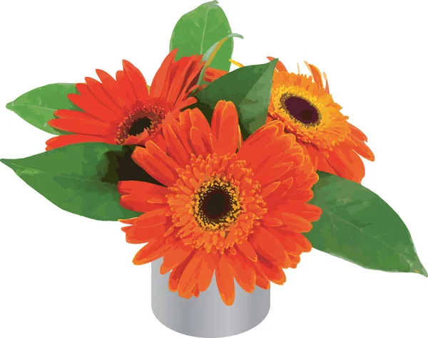 Resumo Das Flores Gerbera Com Folhas Sobre Fundo Branco — Vetor de Stock