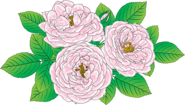 Abstrait Rose Rose Fleur Avec Des Feuilles Sur Fond Blanc — Image vectorielle