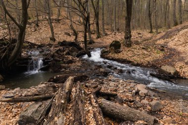 Wooden logs near stones and mountain creek in forest  clipart