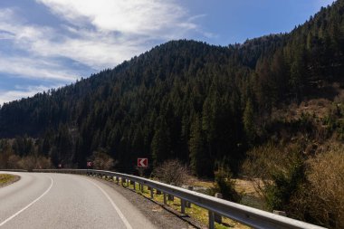 Gündüz vakti yol kenarında dağlar ve ormanlar 