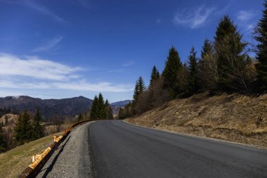 Dağlardaki çam ağaçlarının yanındaki boş yol 