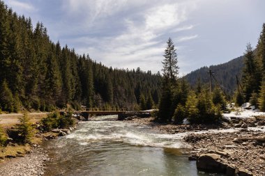Dağ nehri, ahşap köprü ve baharda orman 