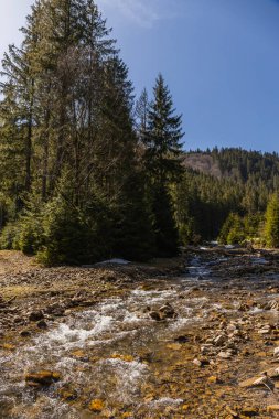 Arkaplanda mavi gökyüzü olan taşlı ve ağaçlı bir dağ nehri. 