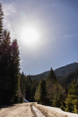 Dağ ormanlarında yol bomboş, arka planda güneş var. 