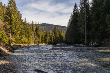 Arka planda bulutlu gökyüzü olan dağ nehri ve ormanın manzarası 