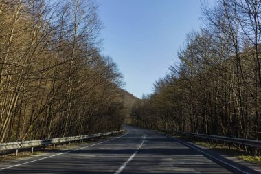 Ormanlar arasındaki boş yolun üstündeki mavi gökyüzü 
