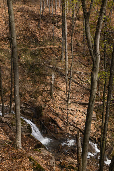 High angle view of mountain creek near woods in forest 