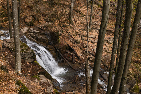 High angle view of creek near trees in mountain forest 
