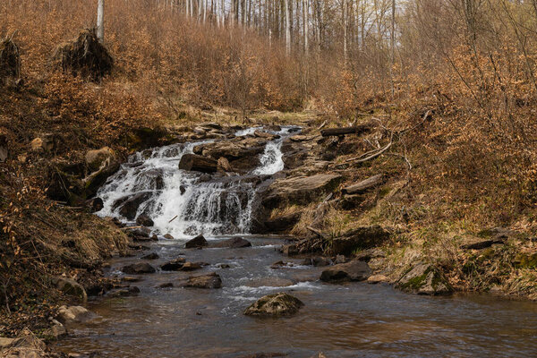 Stones in mountain creek near forest in autumn 