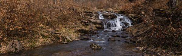 Creek and stones in mountain forest, banner 