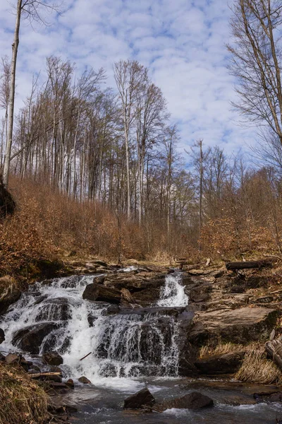 Mountain river with stones in forest 