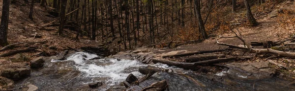 Mountain creek between trees on hills in forest, banner 