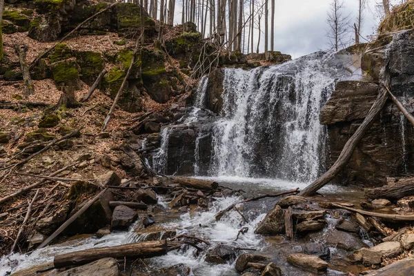 Гірський Струмок Каменях Лісі — стокове фото