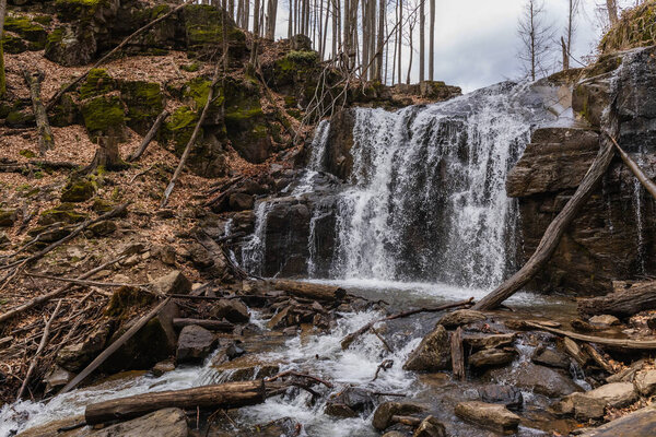 Mountain creek on stones in forest 