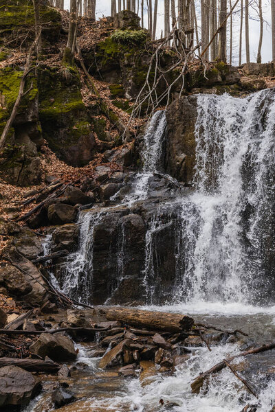 Mountain creek near stones and moss in forest 