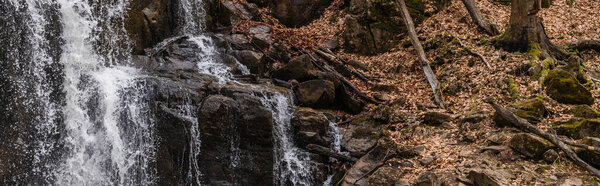 Mountain river near stones and dry leaves in forest, banner 