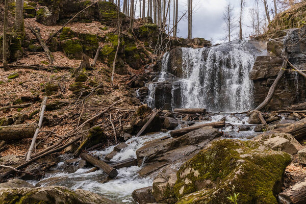 Mountain river near stones in moss in forest 