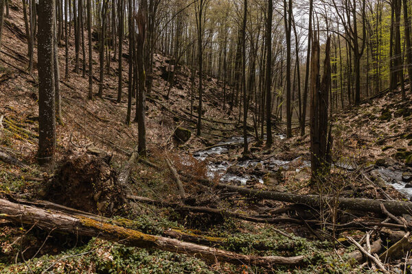 Wooden logs near creek in mountains 