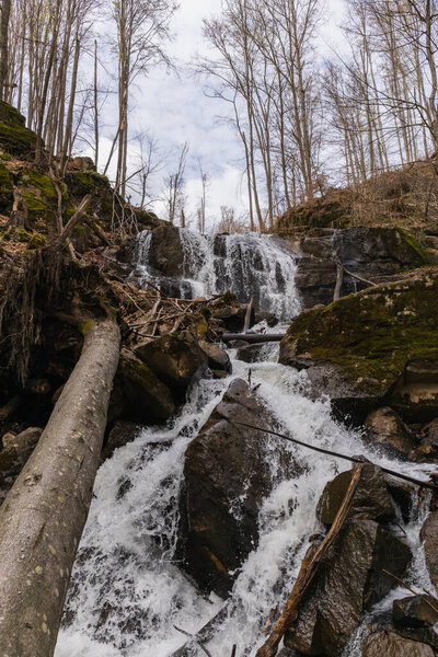 Low angle view of wooden logs and stones in mountain river 
