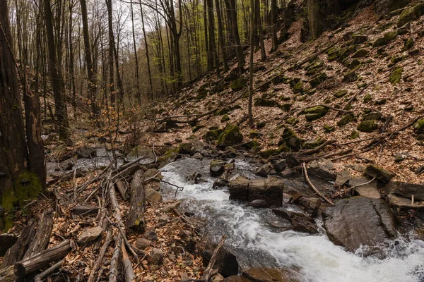 Creek Stones Mountain Forest Autumn — Stock Photo, Image