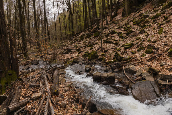 Creek and stones in mountain forest in autumn 