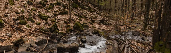 Stones in moss on hill near creek in forest, banner 