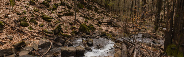 Stones in moss on hill near creek in forest, banner 