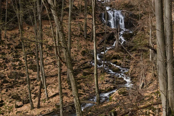 Gebirgsfluss Wald Mit Trockenen Blättern Auf Dem Boden — Stockfoto