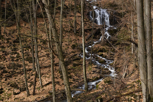 Mountain river in forest with dry leaves on ground 
