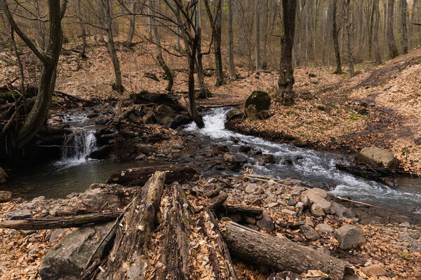 Wooden logs near stones and mountain creek in forest 