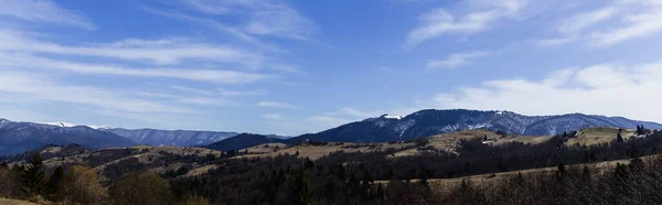 Mountains with forest and blue sky at background, banner 