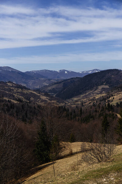 Forest on hills of mountains with blue sky at background 