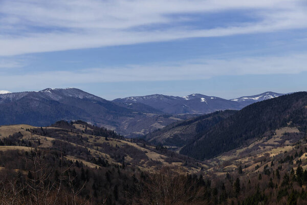 Scenic view of spruce trees on hills and mountains at background 