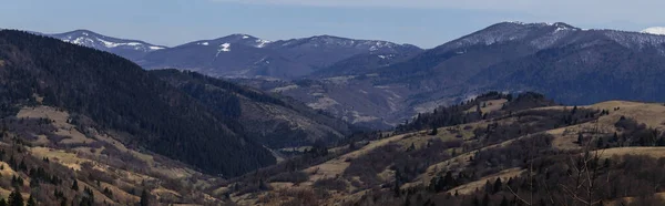 Forest on hills of mountains at daytime, banner 