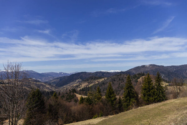 Trees on meadow with mountains and sky at background 